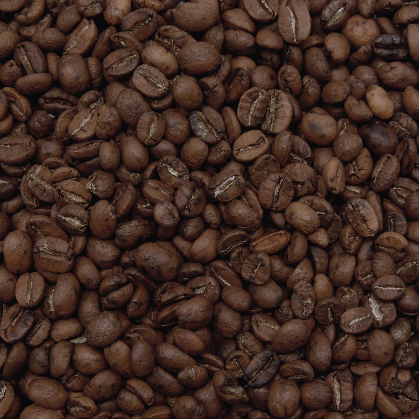 Guatemala Single Origin Whole Bean Coffee