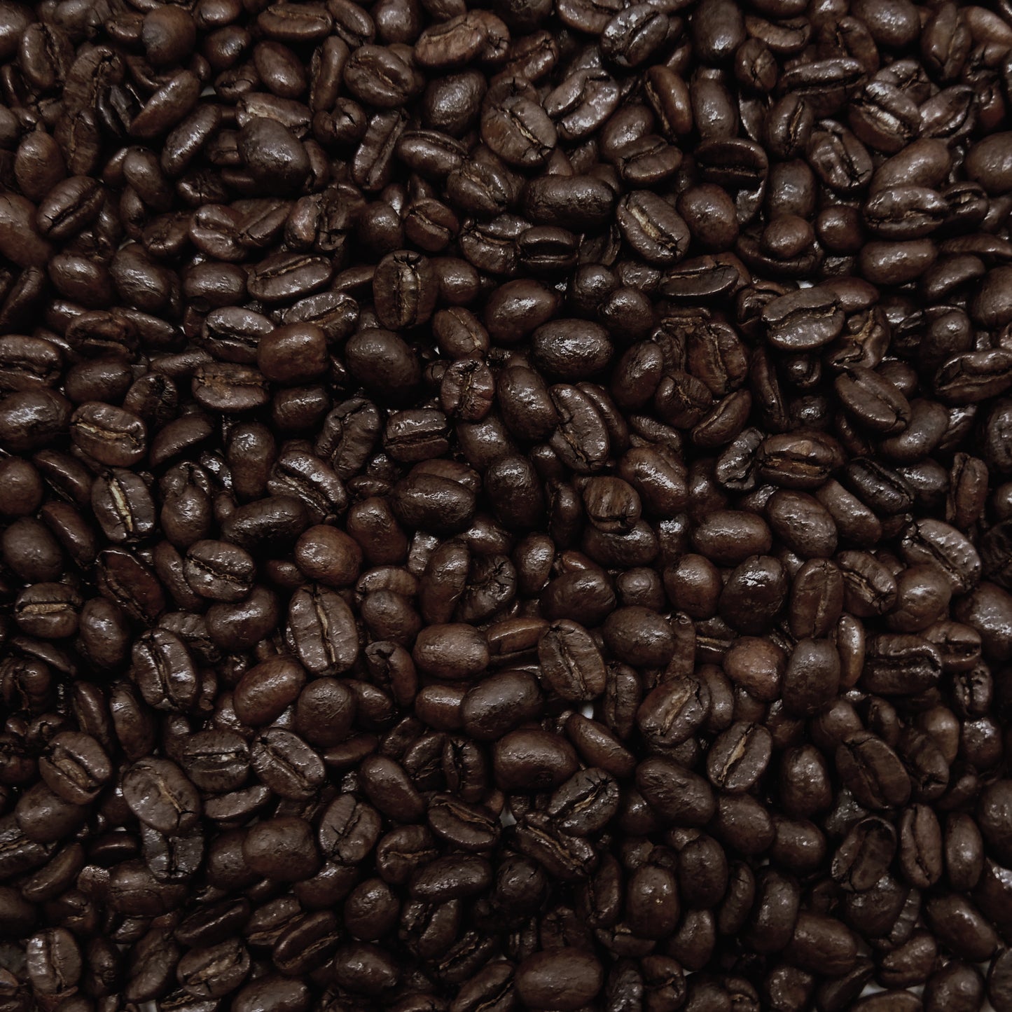 Sumatra Single Origin Whole Bean Coffee